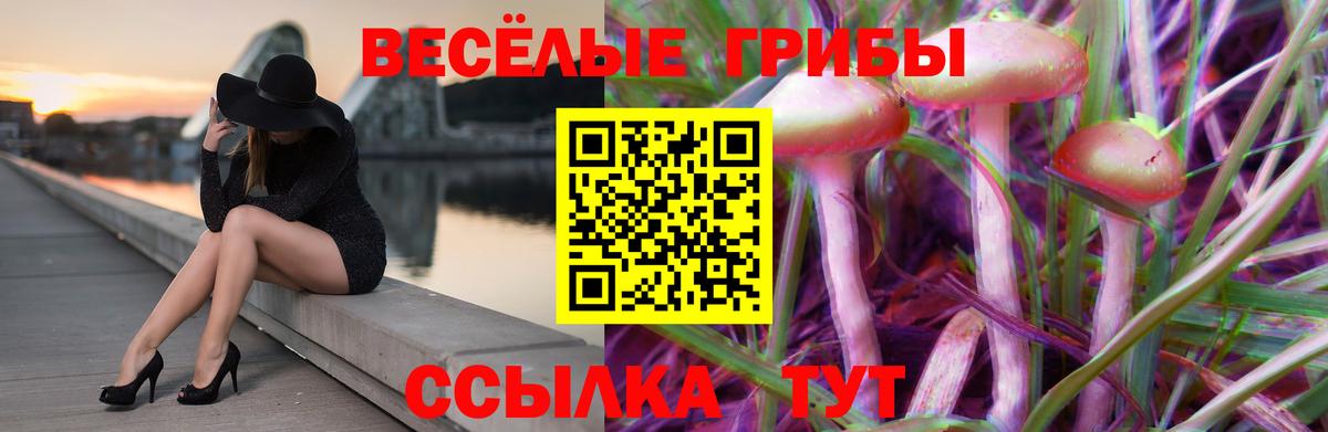 Ялуторовск  Галлюциногенные грибы MAGIC MUSHROOMS  цены наркотик  Вход с VPN 
